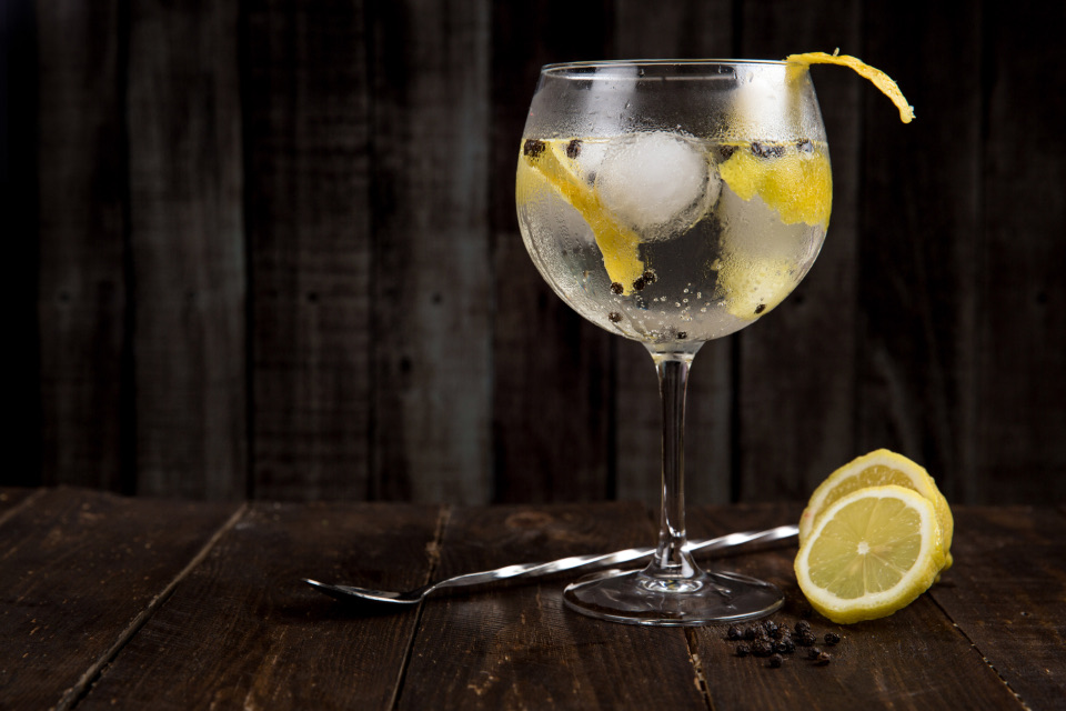 Gin and tonic with lemon